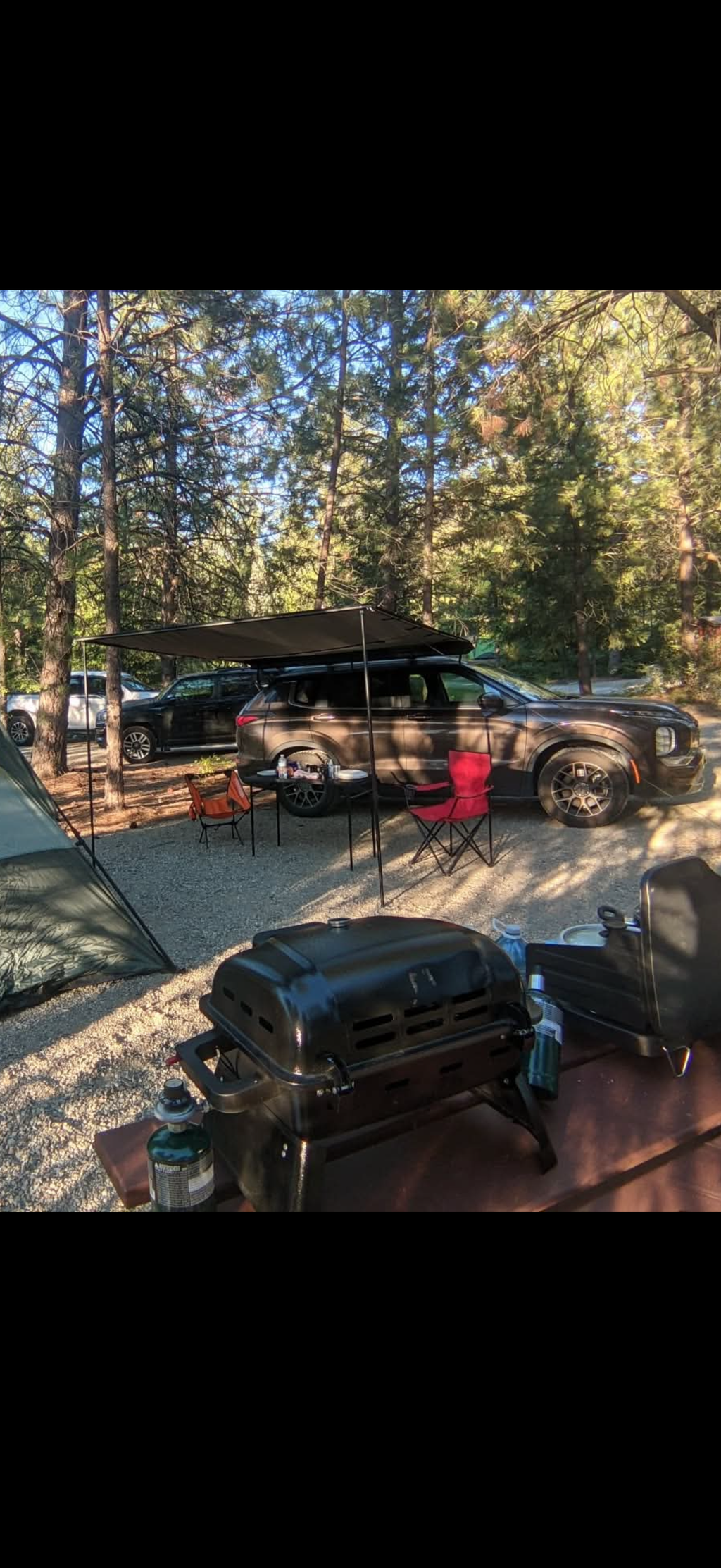 Wild wood OG AWNING (UNIVERSAL FIT)