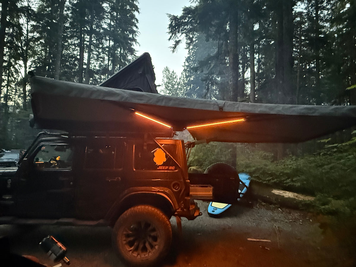 270 Free Standing Wild Awning
