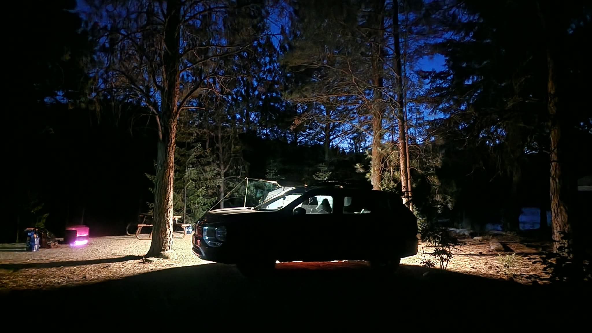 Wild wood OG AWNING (UNIVERSAL FIT)